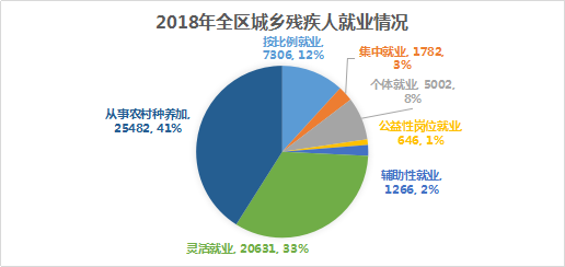 2018年全区残疾人事业发展统计公报(图3) 2018年全区残疾人事业发展统计公报(图3)